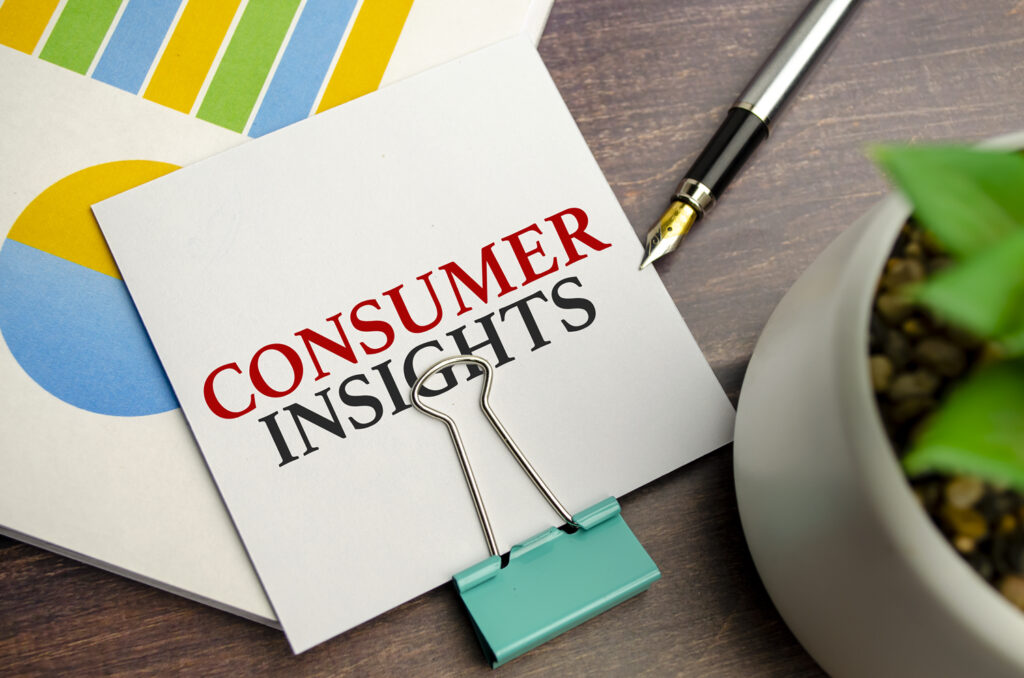 Consumer Insights: The Power of Persona Data Analytics