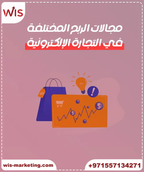مجالات الربح المختلفة في التجارة الإلكترونية