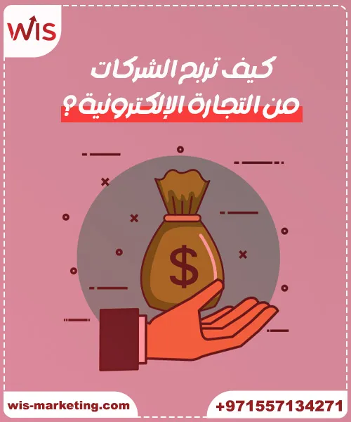 كيف تحقق اعلي ارباح من المتاجر الإلكترونية مع شركة wis؟